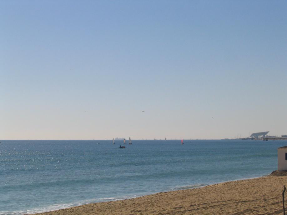 IMG_1981.JPG.jpg