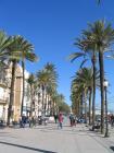 thumbs/IMG_1959.JPG.jpg