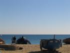 thumbs/IMG_1988.JPG.jpg