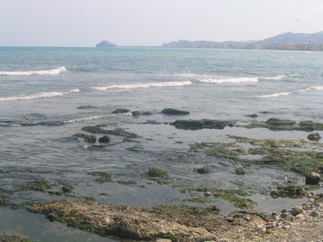 IMG_2634.JPG