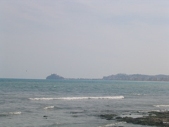 IMG_2626.JPG