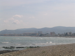 IMG_2627.JPG