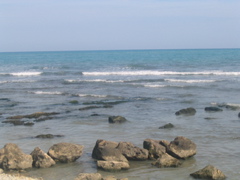 IMG_2629.JPG