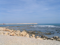 IMG_2630.JPG