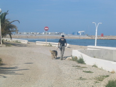 IMG_2631.JPG