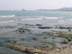 IMG_2634.JPG
