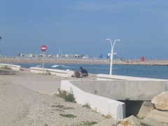 IMG_2635.JPG