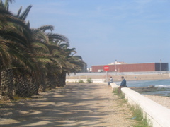IMG_2637.JPG