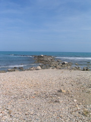 IMG_2639.JPG