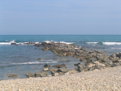 IMG_2640.JPG