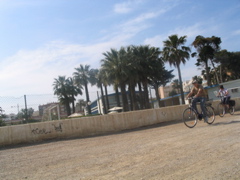 IMG_2644.JPG