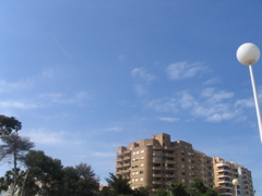 IMG_2645.JPG