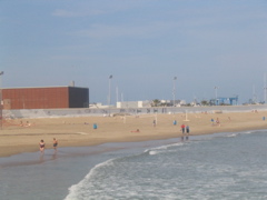 IMG_2646.JPG